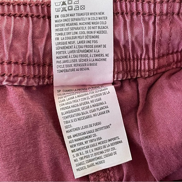 American Eagle Outfitters Lived-in Shorts - Picture 12 of 13